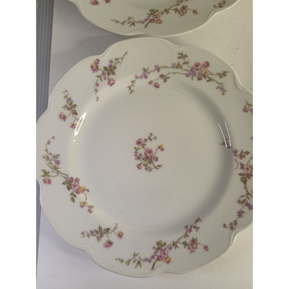 Antique Set Of 6 Haviland Limoges Scalloped Dinner Plates Floral Roses Schleiger - Picture 12 of 16